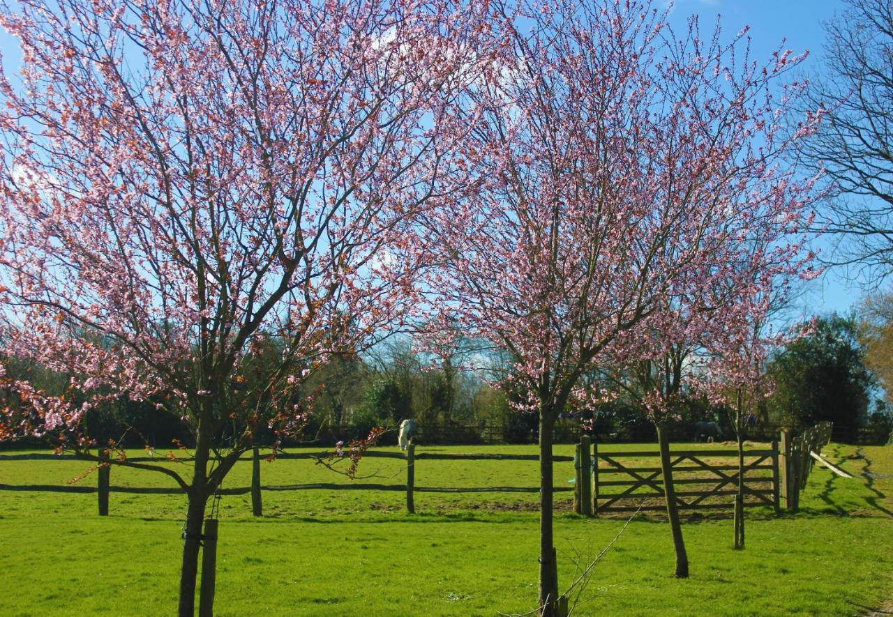 Hopgarden Glamping Luxury Shepherds Huts Wadhurst Exterior foto